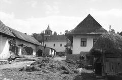 Magyarország, 1963, Gazda Anikó, Fortepan #308263