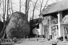 Hungary, 1961, Gazda Anikó, Fortepan #308274