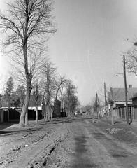 Hungary, 1961, Gazda Anikó, Fortepan #308287