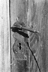 Hungary, 1961, Gazda Anikó, Fortepan #308290