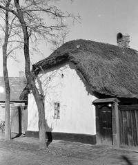 Hungary, 1961, Gazda Anikó, Fortepan #308291