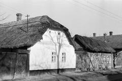 Hungary, 1961, Gazda Anikó, Fortepan #308296