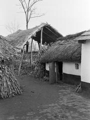 Hungary, 1961, Gazda Anikó, Fortepan #308297