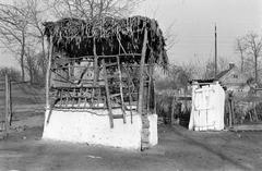 Hungary, 1961, Gazda Anikó, Fortepan #308300