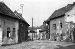 Magyarország, 1956, Gazda Anikó, Fortepan #308306