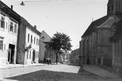Magyarország, 1956, Gazda Anikó, Fortepan #308309