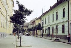 Magyarország, 1975, Gazda Anikó, Fortepan #308318