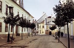 Magyarország, 1975, Gazda Anikó, Fortepan #308319