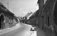 Magyarország, 1966, Gazda Anikó, Fortepan #308346