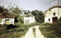 Magyarország, 1970, Gazda Anikó, Fortepan #308374