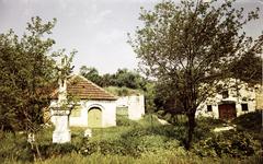 Magyarország, 1970, Gazda Anikó, Fortepan #308375