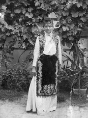 1908, Storymap.hu, portrait, folk costume, grape, woman, apron, vest, Fortepan #30839