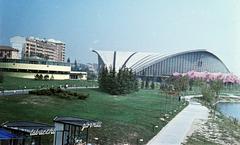 1960, Gazda Anikó, Fortepan #308399