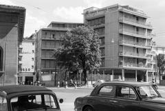 1960, Gazda Anikó, Fortepan #308414