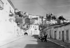 1960, Gazda Anikó, Fortepan #308423