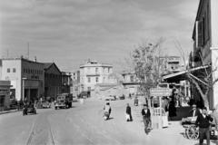 1960, Gazda Anikó, Fortepan #308425