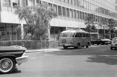 1960, Gazda Anikó, Fortepan #308435