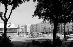 1960, Gazda Anikó, Fortepan #308460