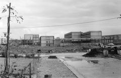 1962, Gazda Anikó, Fortepan #308466