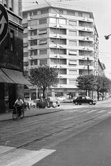 1960, Gazda Anikó, Fortepan #308475