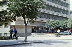 1962, Gazda Anikó, Fortepan #308511