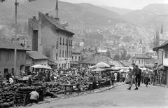 1960, Gazda Anikó, Fortepan #308530