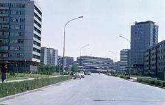 1962, Gazda Anikó, Fortepan #308535