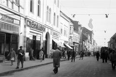 1962, Gazda Anikó, Fortepan #308540