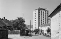 1962, Gazda Anikó, Fortepan #308558