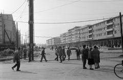 1962, Gazda Anikó, Fortepan #308569