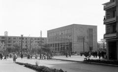 1962, Gazda Anikó, Fortepan #308570