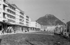 1962, Gazda Anikó, Fortepan #308571