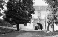 1962, Gazda Anikó, Fortepan #308575