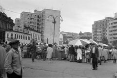 1962, Gazda Anikó, Fortepan #308593