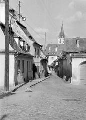 1962, Gazda Anikó, Fortepan #308604