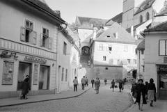 1962, Gazda Anikó, Fortepan #308610