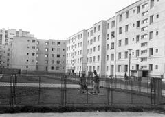 1962, Gazda Anikó, Fortepan #308619