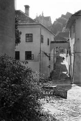 1962, Gazda Anikó, Fortepan #308629