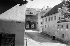 1962, Gazda Anikó, Fortepan #308631