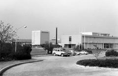 1964, Gazda Anikó, Fortepan #308723