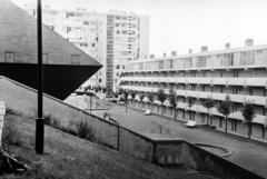 1961, Gazda Anikó, Fortepan #308795