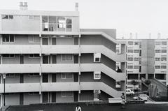 1961, Gazda Anikó, Fortepan #308796