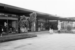 1961, Gazda Anikó, Fortepan #308797