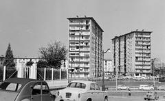 1961, Gazda Anikó, Fortepan #308819