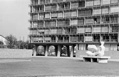 1961, Gazda Anikó, Fortepan #308824