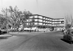 1962, Gazda Anikó, Fortepan #308848