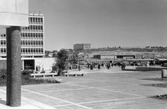 1962, Gazda Anikó, Fortepan #308861