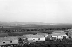 1962, Gazda Anikó, Fortepan #308872