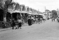 1962, Gazda Anikó, Fortepan #308880