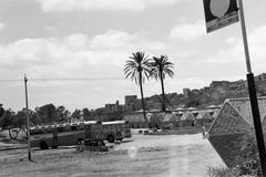 1962, Gazda Anikó, Fortepan #308892